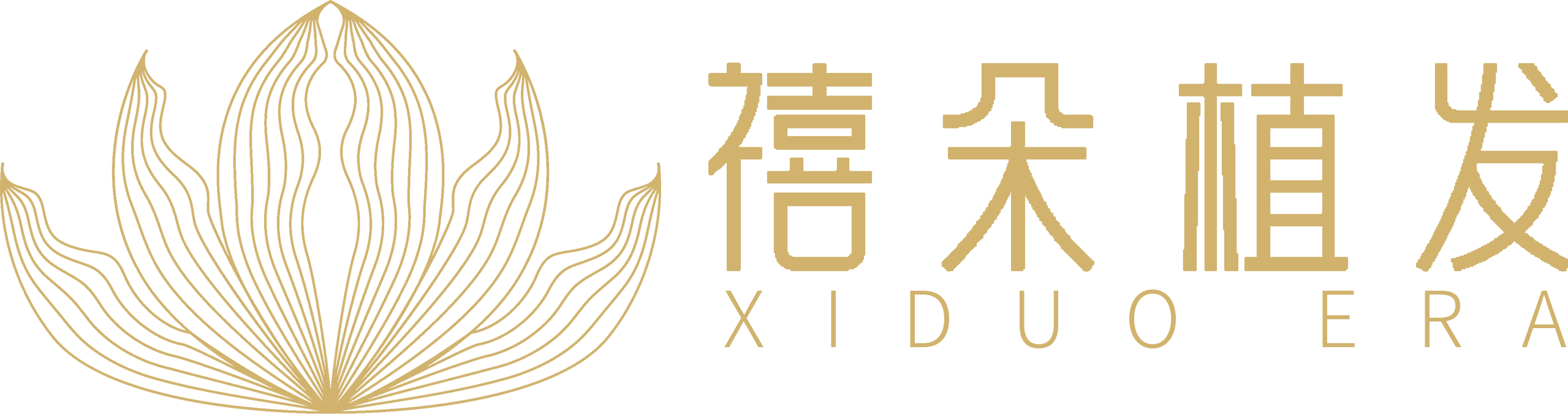 湖南禧朵醫(yī)療美容診所有限公司